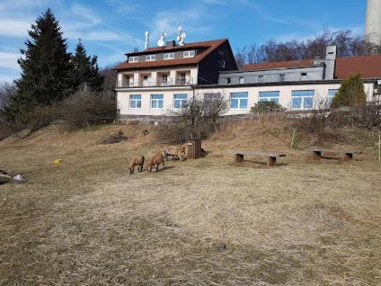Berggasthof Zum Steira Schotten Exterior foto